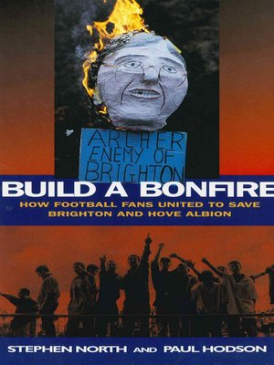 cover image of Build a Bonfire